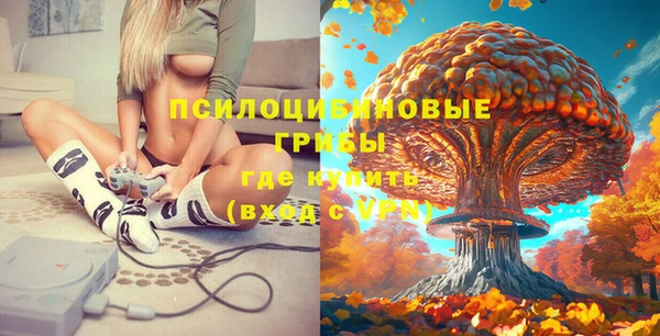 синтетический гашиш Няндома