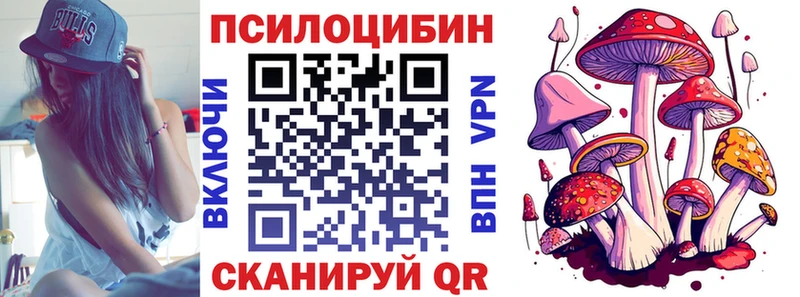 Псилоцибиновые грибы Psilocybe Кремёнки